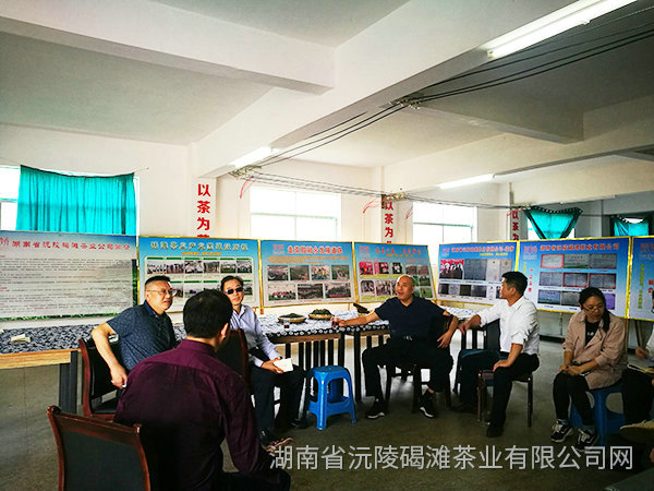 縣領導及省農業廳領導茬臨產業園區指導工作6