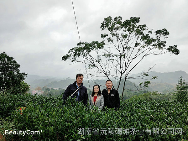 2019年天津客戶來公司考察3