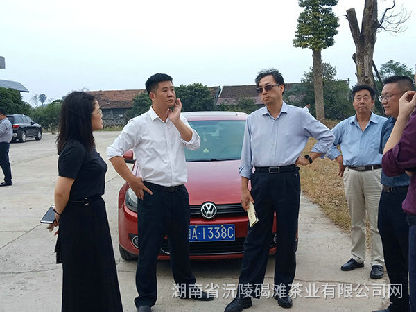 縣領導及省農業廳領導茬臨產業園區指導工作7