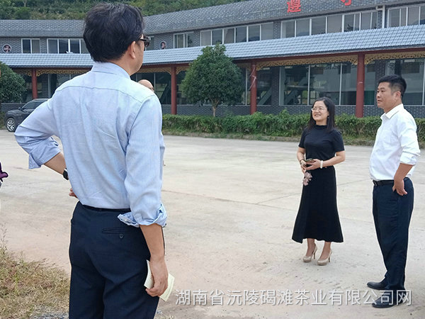 縣領導及省農業廳領導茬臨產業園區指導工作1