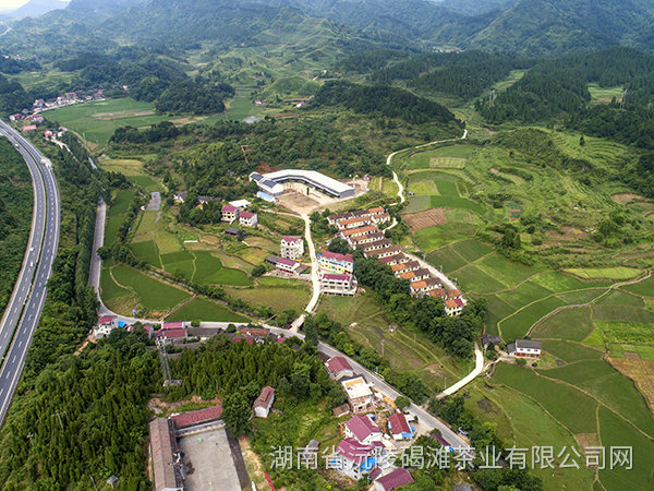 基地鳥撖圖