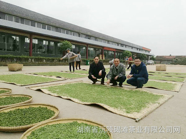 茶園開發