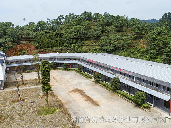 茶葉直銷廠家