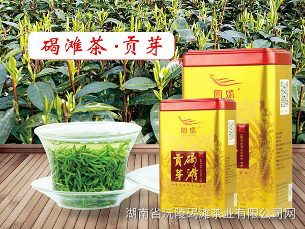 碣灘茶 貢芽