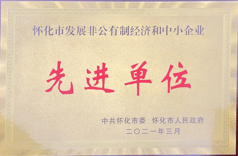 2020年懷化市發展非公有制經濟和中小企業先進單位