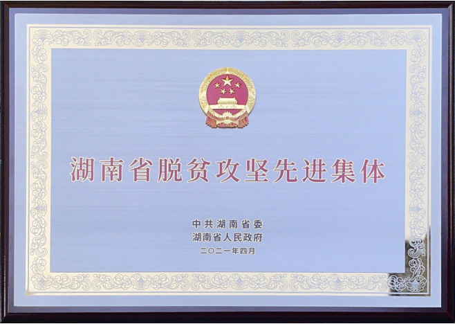 湖南省脫貧攻堅先進集體