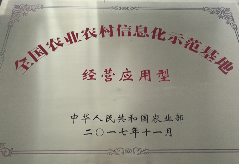 湖南省沅陵碣灘茶業(yè)有限公司,沅陵茶園開發(fā),茶葉加工,茶文化傳播