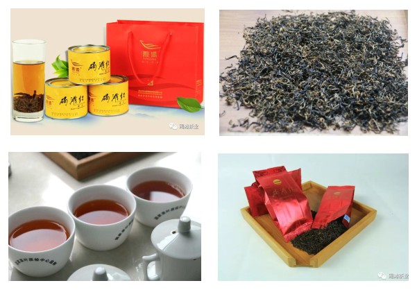 湖南省沅陵碣灘茶業有限公司,沅陵碣灘茶,茶葉加工銷售,茶文化傳播