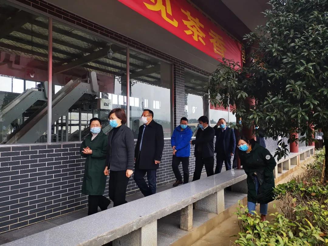 湖南省沅陵碣灘茶業有限公司,沅陵碣灘茶,茶葉加工銷售,茶文化傳播
