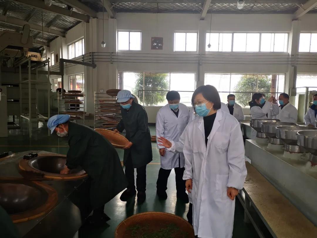湖南省沅陵碣灘茶業有限公司,沅陵碣灘茶,茶葉加工銷售,茶文化傳播