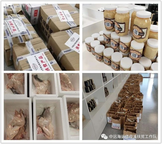 湖南省沅陵碣灘茶業有限公司,沅陵碣灘茶,茶葉加工銷售,茶文化傳播