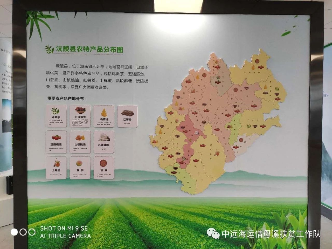 湖南省沅陵碣灘茶業有限公司,沅陵碣灘茶,茶葉加工銷售,茶文化傳播 湖南省沅陵碣灘茶業有限公司,沅陵碣灘茶,茶葉加工銷售,茶文化傳播