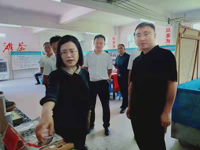 新聞動態