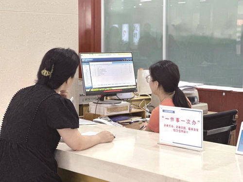 這大熱天，辦事少跑了100多里路——創業服務咨詢的便捷與效率